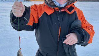 Eine Person in warmer Kleidung hält stolz einen gefangenen Fisch in der Hand, während die Sonne hinter einer verschneiten Landschaft untergeht.