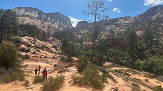 Drei Wanderer erkunden die malerische Landschaft des Zion Nationalparks, umgeben von majestätischen Felsen und Bäumen.