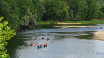 Eine Gruppe von Kajakfahrern paddelt auf einem ruhigen Fluss, umgeben von üppigem Grün und Bäumen am Ufer.