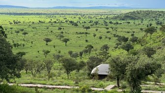 Üppig grüne Ikoma Hills Landschaft im Grumeti-Gebiet – Tansania Reise mit Kindern