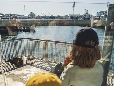 Kinder erkunden die V&A Waterfront in Kapstadt – Südafrika mit Kindern