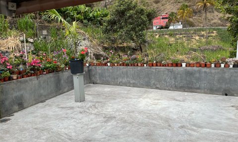 Ein gepflegter Außenbereich mit bunten Blumen in Töpfen, umgeben von einem klaren, grauen Fußboden.