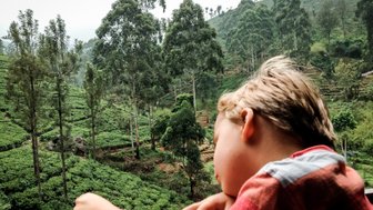 Kleinkind schaut aus dem Fenster auf die hügeligen Teeplantagen – Sri Lanka Familienreise