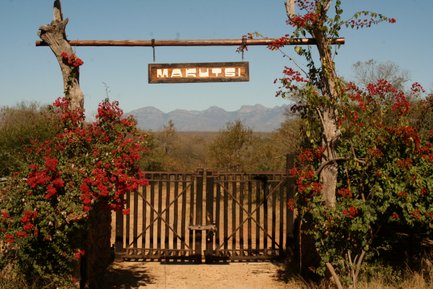 Ein rustikales Tor mit dem Schild 'Makutsi' und blühenden roten Bougainvillea umrahmt die Szenerie vor einer Berglandschaft.