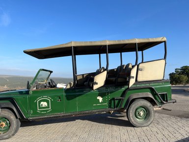 Grünes Jeep Auto während Addo Game Drive – Garden Route mit Kindern