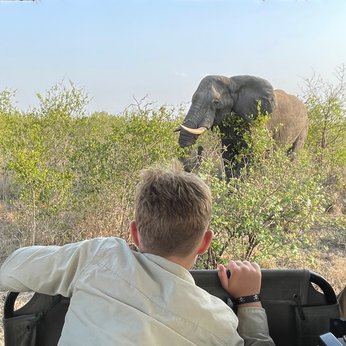 Ein Junge schaut aus dem Safari-Jeep auf einen Elefanten im Kruger-Nationalpark – Südafrika mit Kindern entdecken