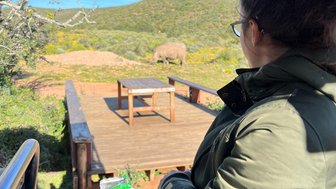 Teenager schaut vom offenen Safari-Jeep auf ein Nashorn in der Buffelsdrift Game Lodge – Garden Route mit Kindern
