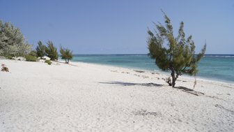 Ein ruhiger Strand mit feinem, weißem Sand erstreckt sich unter einem klaren blauen Himmel, umgeben von sanften Wellen.