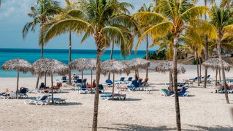 Ein sonniger Strand mit Palmen und Liegen, wo Menschen entspannt unter Strohdächern liegen und die Aussicht genießen.