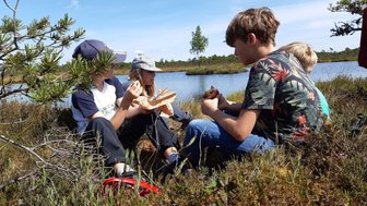 Vier Kinder genießen ein Picknick am Ufer eines ruhigen Gewässers, umgeben von üppiger Natur und strahlendem Sonnenschein.