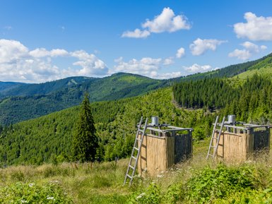 Zwei Holzstrukturen stehen in einer grünen Berglandschaft, umgeben von üppigen Wäldern und blühenden Wiesen.