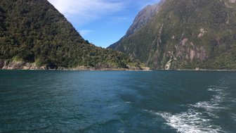 Ein ruhiger Wasserweg zwischen hohen, bewaldeten Bergen im Fiordland-Nationalpark, unter einem klaren blauen Himmel.