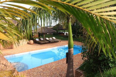 Ein einladender Pool umgeben von üppigem Grün und Liegen, ideal für Entspannung und Erholung in der Natur.