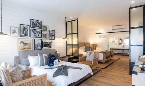 Ein elegantes Zimmer mit zwei Betten, stilvollen Möbeln und einer Kunstwand, die Tierbilder zeigt, strahlt Gemütlichkeit aus.