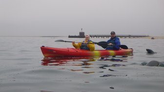 Ein Kayak im Wasser mit Robben - Namibia mit Jugendlichen