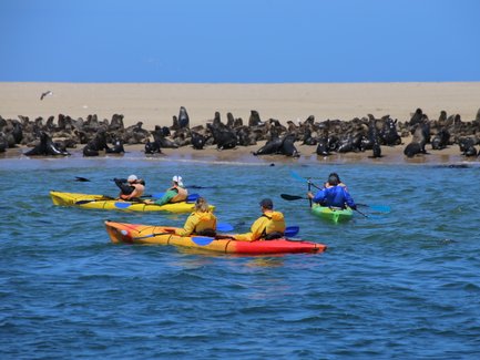 Drei Kayaks im Meer mit Robben im Hintergrund - Namibia Familienurlaub