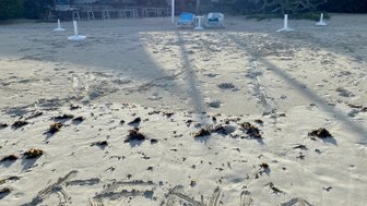 Der Sonnenaufgang beleuchtet den Strand, wo der Name 'KENIA' in den Sand geschrieben ist, umgeben von Fußabdrücken.