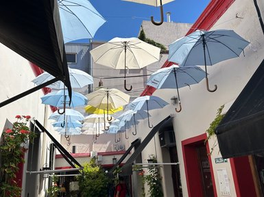 Bunte Regenschirme hängen über einer schmalen Gasse, die von blühenden Pflanzen gesäumt ist, unter strahlend blauem Himmel.