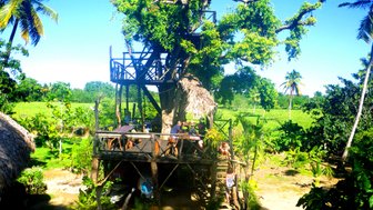 Ein Baumhaus-Restaurant umgeben von üppigem Grün und Palmen, mit Gästen, die auf der Terrasse entspannen und essen.