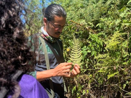 Guide zeigt und erklärt Pflanze während der Tour – Costa Rica Familienreise