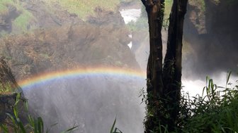 Ein Regenbogen schimmert über den tosenden Wasserfall, umgeben von üppigem Grün und steilen Felsen.