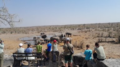 Eine Reisegruppe beobachtet interessiert einer Herde Elefanten am Wasserloch - Namibia mit Kindern 