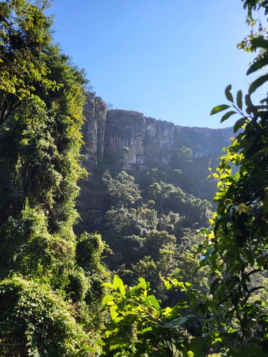 Weitläufiger Blick auf die grüne Berglandschaft und Naturkulisse entlang der Panorama Route – Südafrika Familienreise