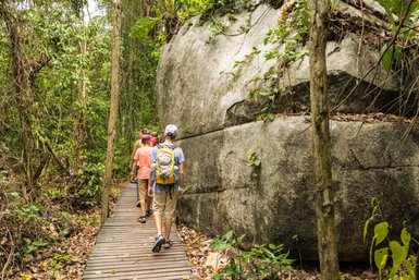 Eine Gruppe von Wanderern geht auf einem Holzsteg durch den dichten Dschungel von Tayrona Nationalpark, umgeben von üppigem Grün.