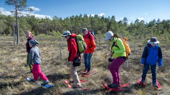 Eine Gruppe wandert mit passenden Schuhen durch ein Moor