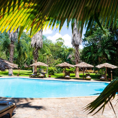 Ein einladender Pool umgeben von üppigem Grün und Palmen, mit Liegen unter Strohdächern für entspannte Stunden.