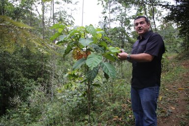 Guide in La Tigra zeigt und erklärt Pflanzenwelt – Costa Rica Familienreise