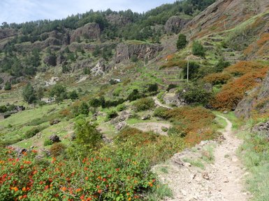 Üppige, grüne Hügel überzogen mit bunten Blüten, die sich sanft in die Landschaft einfügen und eine friedliche Atmosphäre schaffen.