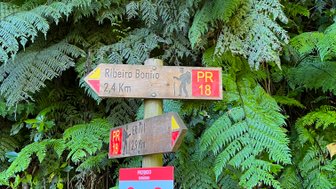 Ein Wegweiser zeigt die Richtung zum Ribeiro Bonito, umgeben von üppigem, grünem Farn und dichten Bäumen.