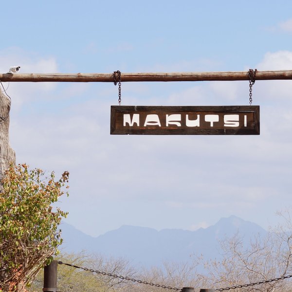 Begrüßungsschild der Makutsi Safari Lodge – Südafrika mit Kindern
