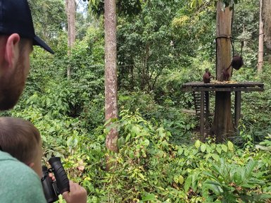 Vater und Kind beobachten Affen mit Fernglas - Malaysia Familienreise