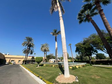 Weg gesäumt von Palmen im Jolie Ville Resort Kings Island in Luxor – Ägypten Reise mit Kindern