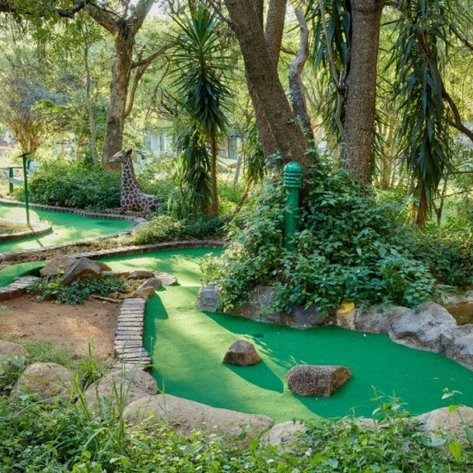 Ein Minigolfplatz inmitten üppiger Vegetation, mit einem künstlichen Wasserlauf und einem Giraffenmotiv im Hintergrund.