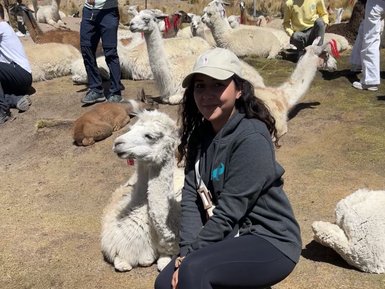 Eine junge Frau sitzt lächelnd neben einem weißen Lama im Colca Canyon, umgeben von weiteren Lamas und Besuchern.