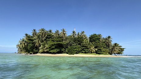Eine kleine tropische Insel mit üppigem Grün und Palmen, umgeben von klarem, türkisfarbenem Wasser unter einem blauen Himmel.