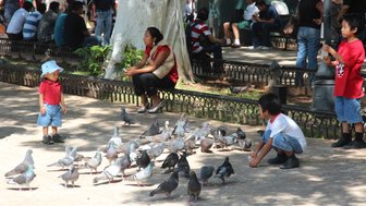 Kleinkinder beobachten Tauben auf einem Platz in Mérida – Mexiko mit Kindern