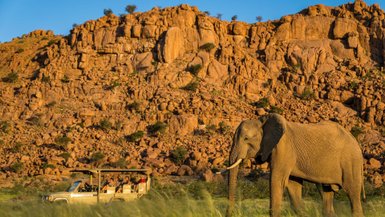 Ein Elefant steht direkt neben einem Elefanten - Namibia Urlaub mit Kindern