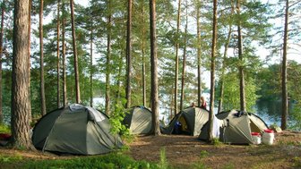 In einem Waldgebiet stehen mehrere Zelte, umgeben von hohen Bäumen und Blick auf einen ruhigen See im Hintergrund.