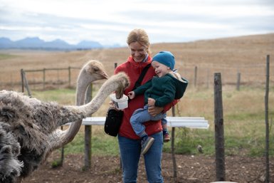 Fröhliches Baby auf dem Arm der Mutter beim Füttern von Straußen auf der Skeiding Guest Farm – Garden Route Familienreise