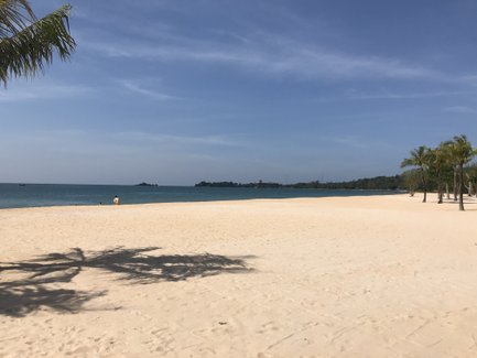 Ein ruhiger Strand mit feinem, hellem Sand erstreckt sich unter einem klaren blauen Himmel, umgeben von Palmen.