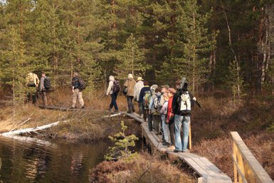 Eine Gruppe von Wanderern geht auf einem schmalen Holzsteg durch einen Wald mit grünen Bäumen und einem ruhigen Gewässer.