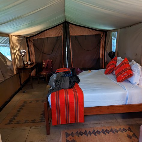 Ein gemütliches Zeltinnere mit einem großen Bett, bunten Kissen und einem Tisch, der eine Lampe und persönliche Gegenstände zeigt.