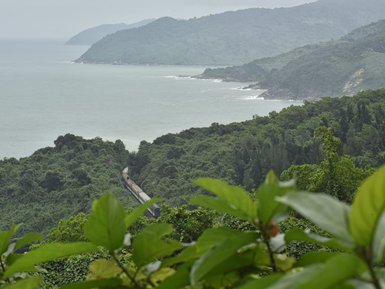 Eine malerische Küstenlandschaft mit üppigem Grün und einem Zug, der entlang der Küste fährt, unter einem bewölkten Himmel.
