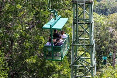 Eine Seilbahn schwebt über den bewaldeten Hügel, während vier Passagiere entspannt darin sitzen.