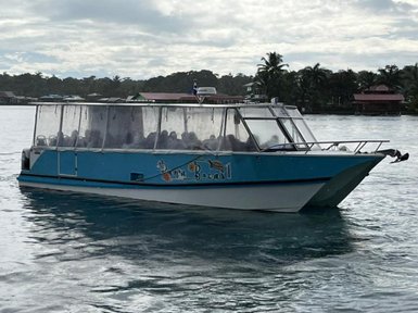 Ein blaues Boot mit transparenten Wänden fährt über das ruhige Wasser, umgeben von tropischen Bäumen und Häusern.