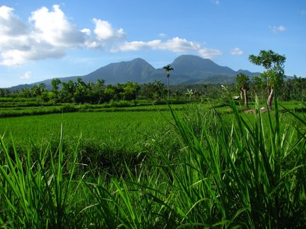 Üppige, grüne Landschaft bei Amed – Bali Reise mit Kindern
